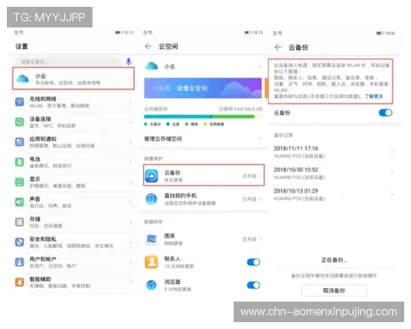 新葡萄娱乐城登录娱乐平台官方入口，确保账号安全与顺畅登录体验