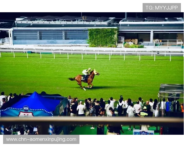 全面解析马会投注网娱乐的安全保障措施确保玩家资金与信息安全