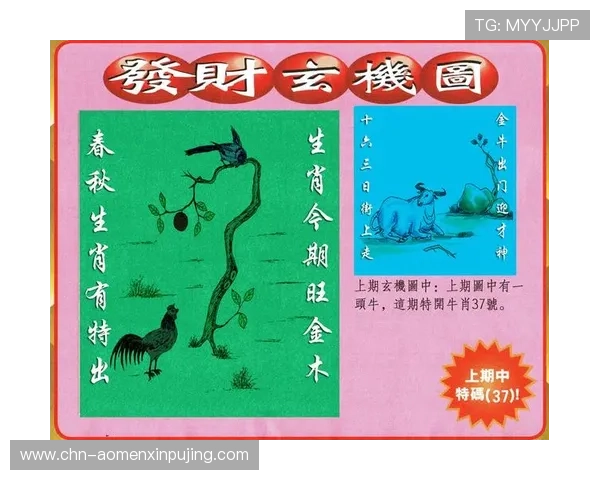 澳门彩真人娱乐游戏攻略与技巧分享助你轻松赢取丰厚奖金